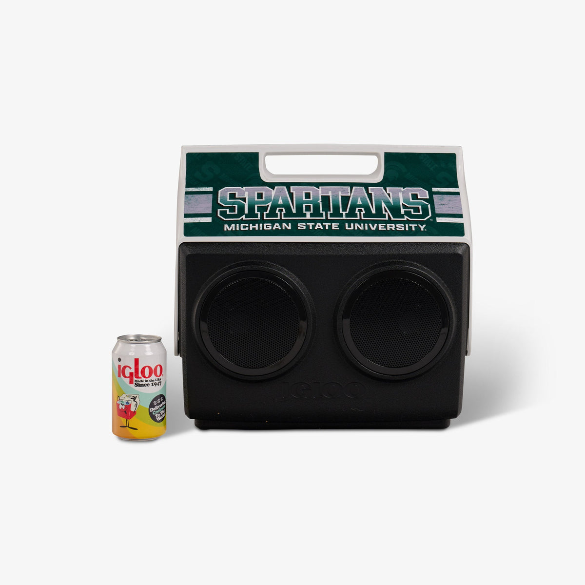 michigan-state-university-kooltunes-d6 00027730-P.jpg