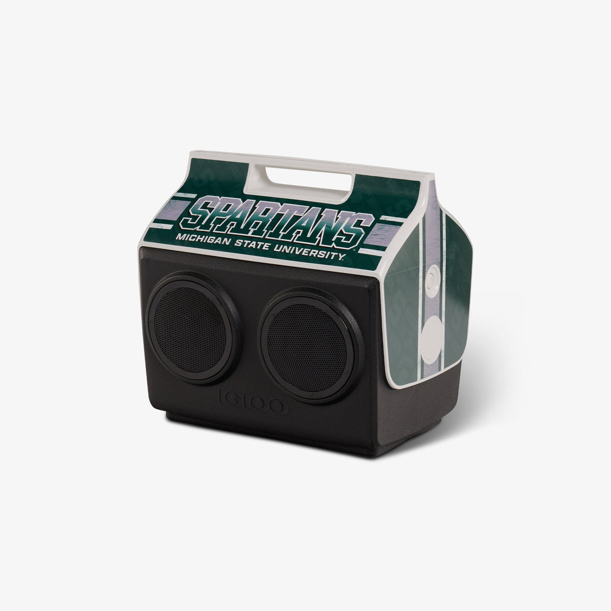 michigan-state-university-kooltunes-d6 00027730-H1.jpg