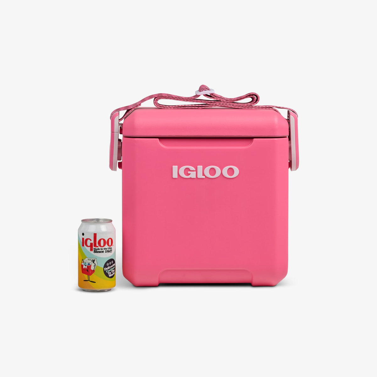 tag-along-too-remix-cooler-q3 00033199-P_861a5cd2-f15c-4217-a471-e33cc3890d9e.jpg