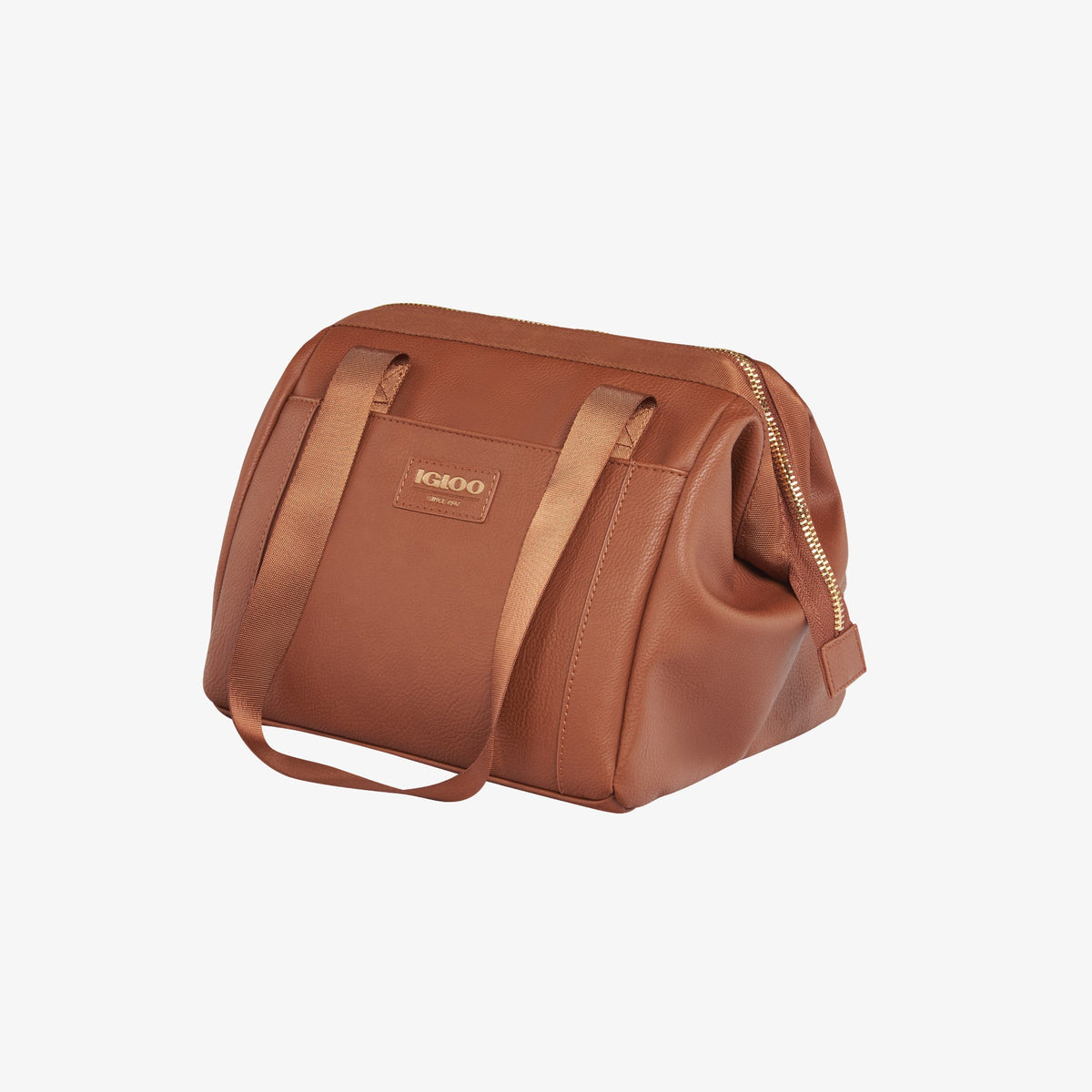 igloo-luxe-lunch-tote-cooler-bag-f0 00061160_2.jpg