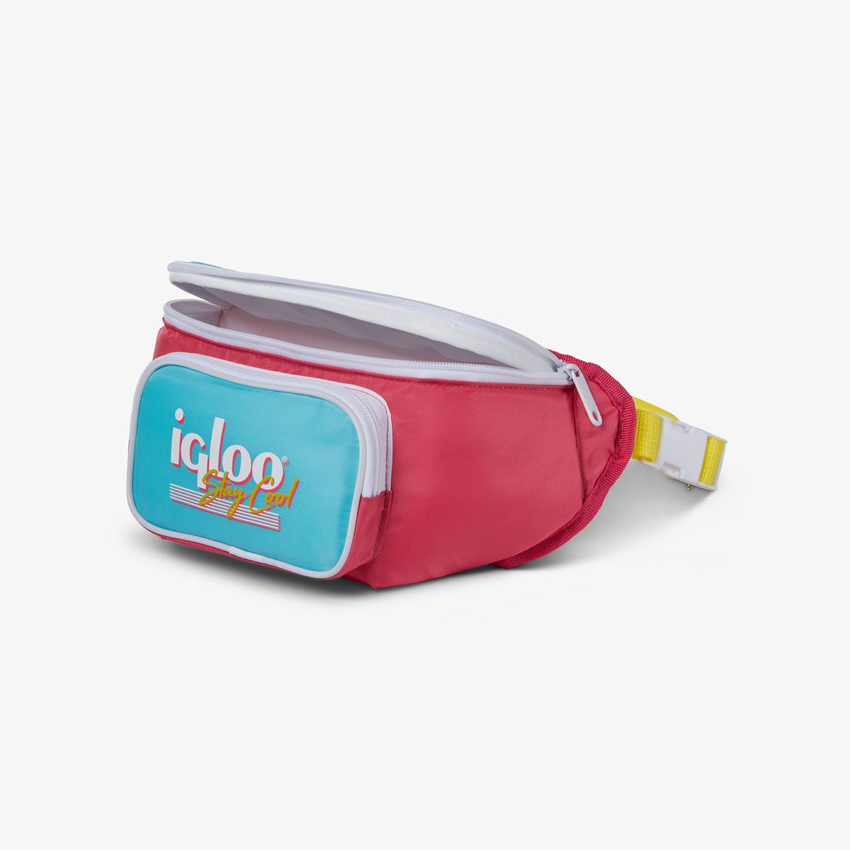 retro-fanny-pack-o2 00066058-O1.jpg