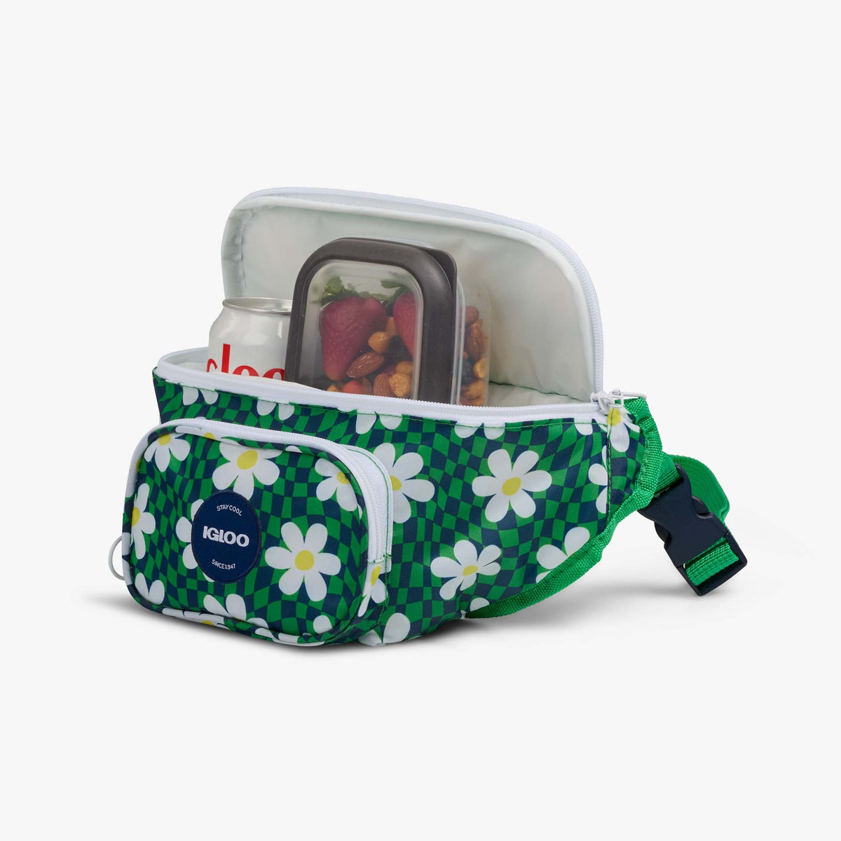 retro-fanny-pack-o2 00067206-P1.jpg